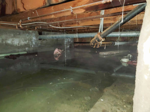 Water damage restoration process in NJ