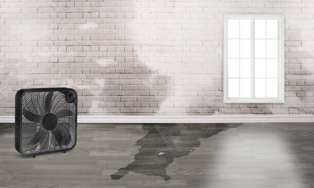 Best 24-hour water damage restoration  in Browns Mills, NJ