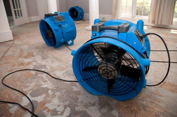 Best Flooded house restoration  in Browns Mills, NJ