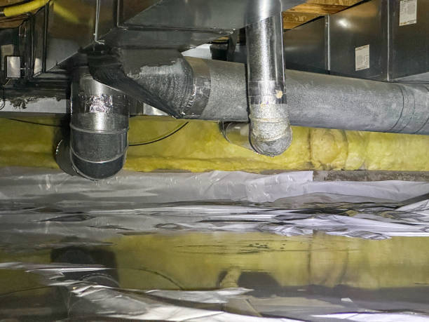 Best Flooded house restoration  in Browns Mills, NJ