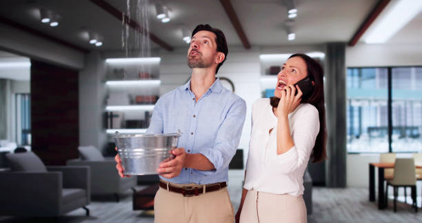 Best Sewage cleanup and water damage restoration  in Browns Mills, NJ