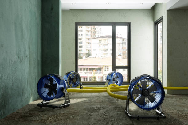 Best Mold removal after water damage  in Browns Mills, NJ
